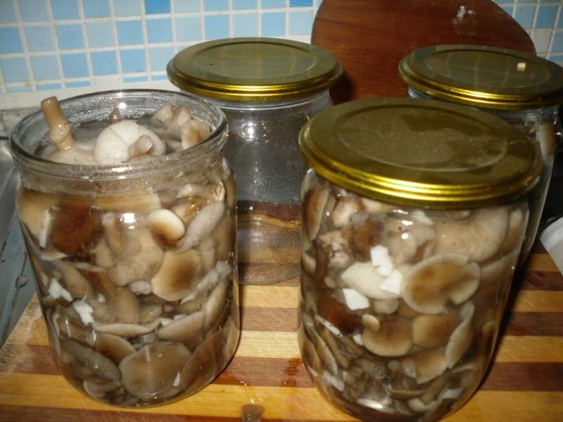 turnând ciuperci gata preparate cu marinată