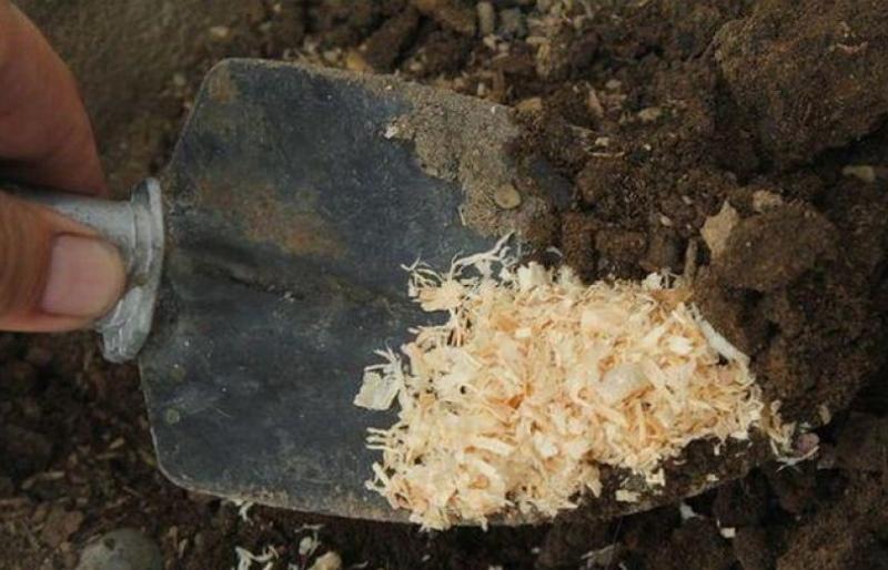 how to make a soil mixture with sawdust