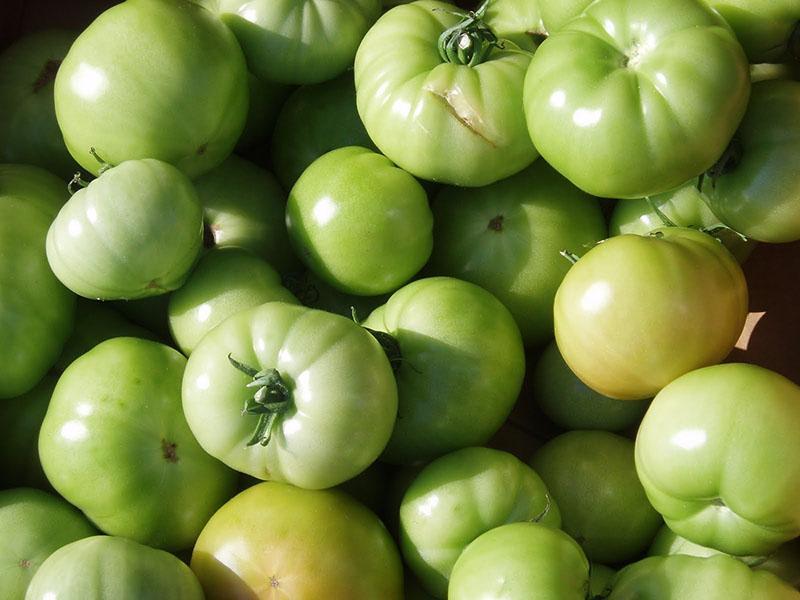 vihreät tomaatit