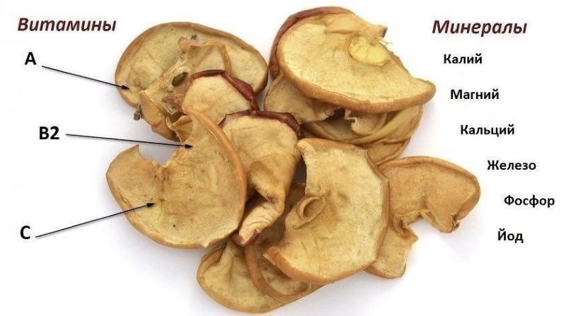 chemical composition of dried apples