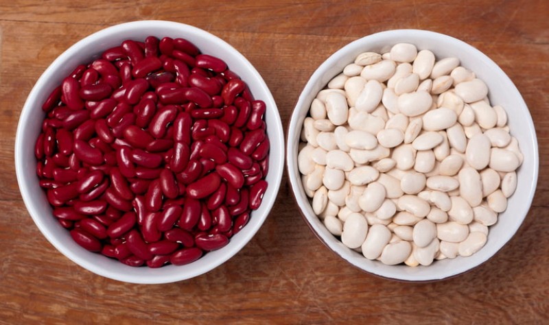 useful properties of beans