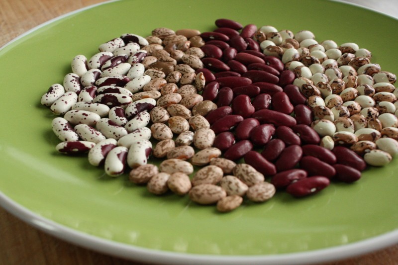 the benefits of white and red beans