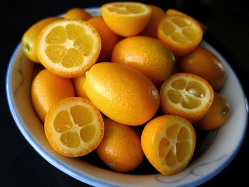 kumquat frukt