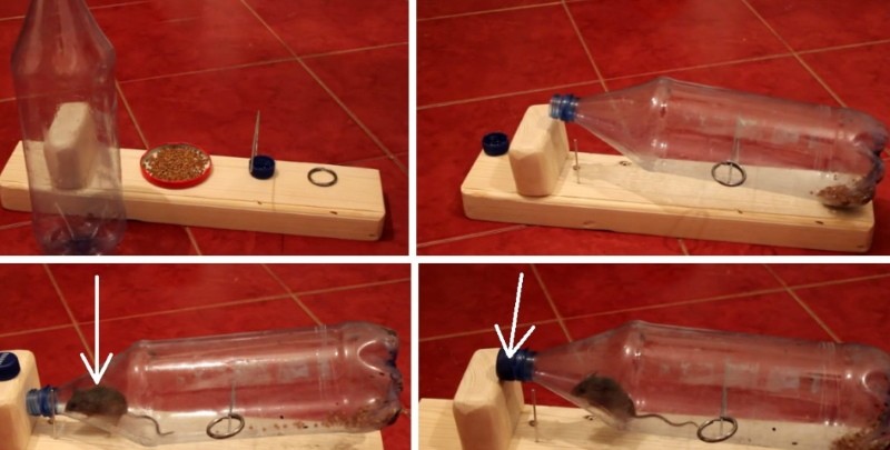 video met muisval in plastic fles