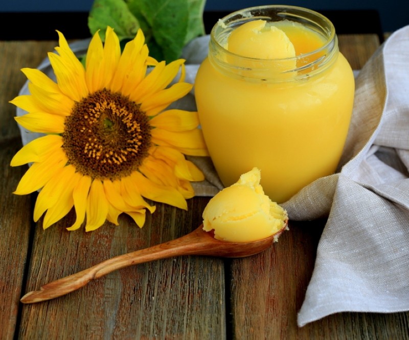 solros honung användbara egenskaper och kontraindikationer