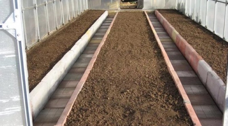 greenhouse beds for tomatoes