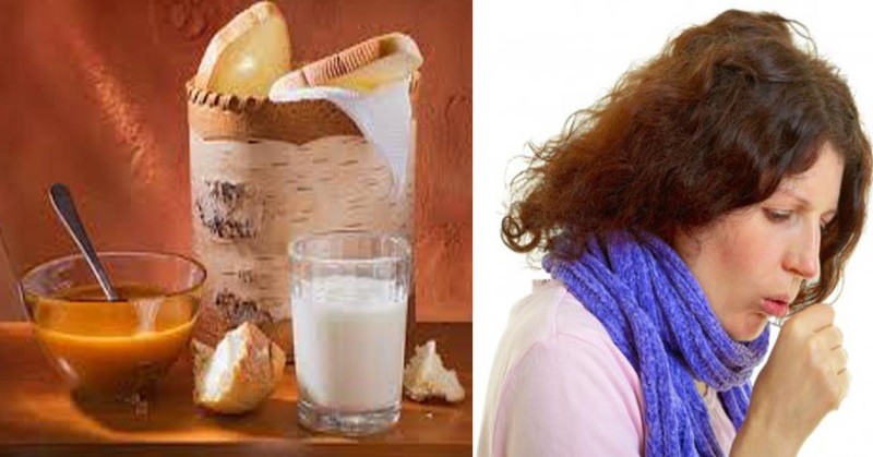 geneeskrachtige eigenschappen van propolis-melk