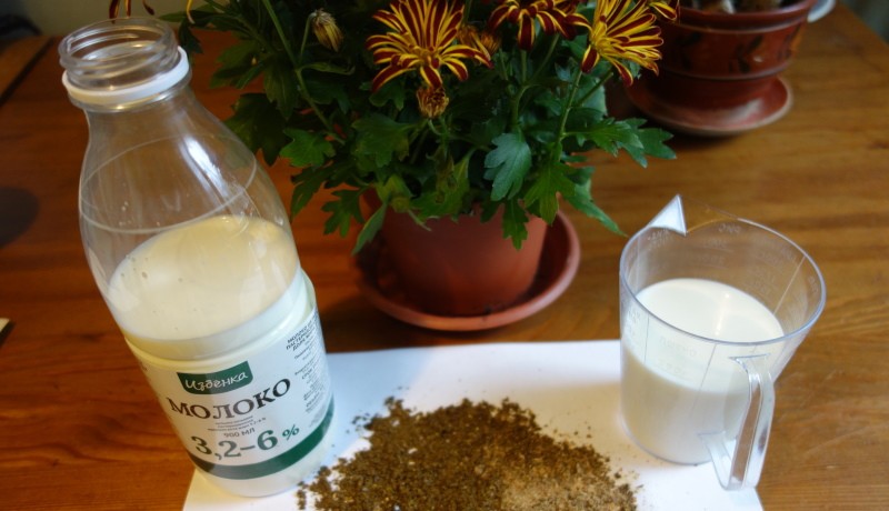 hur man gör mjölk med naturlig propolis