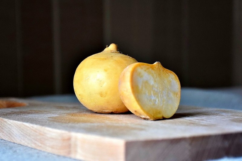 yellow turnip