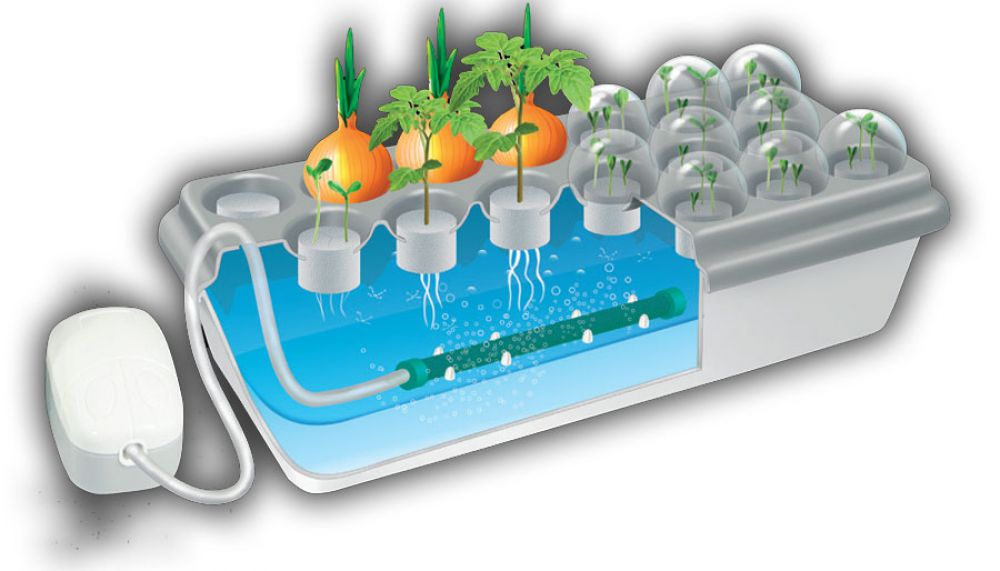 hydroponics benefits