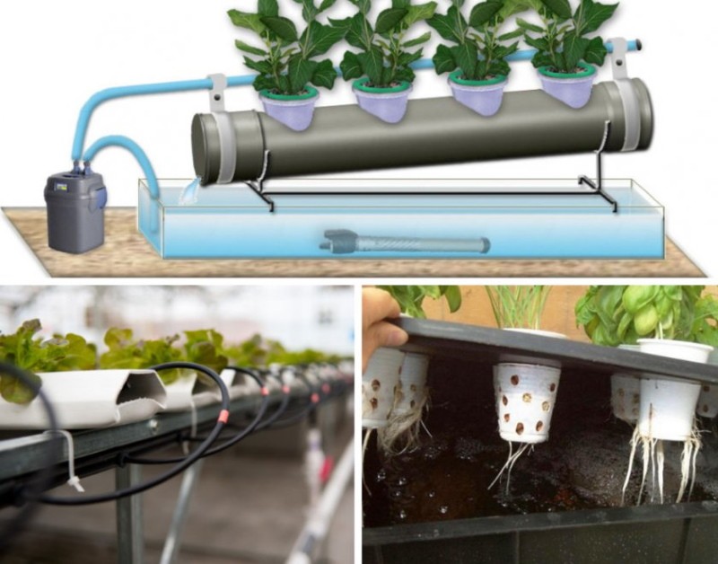 DIY hydroponics