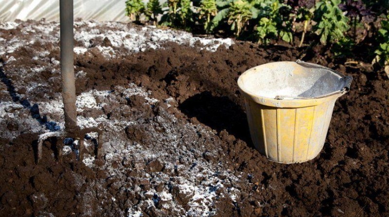 calant el sòl a la taxa d'aplicació de tardor