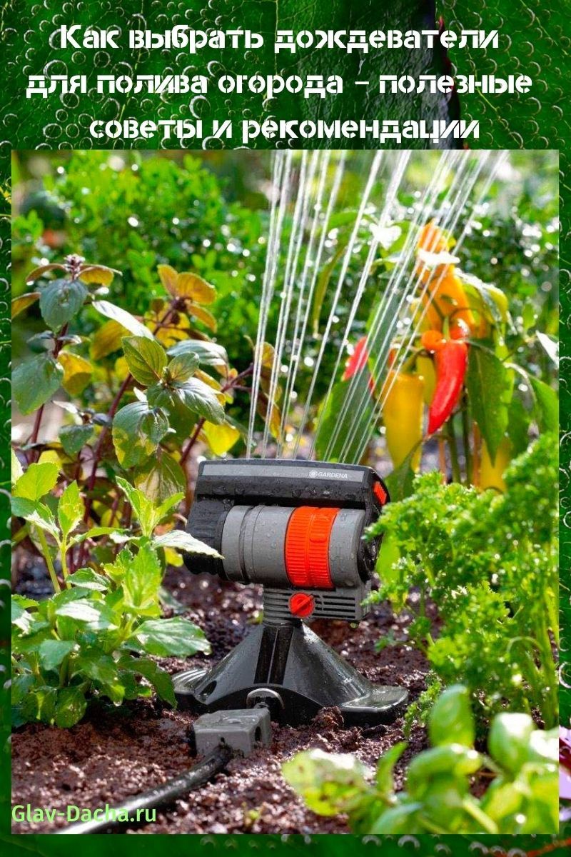 Sådan vælges sprinklere til vanding af din have