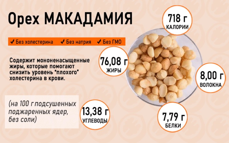 calorie content of macadamia