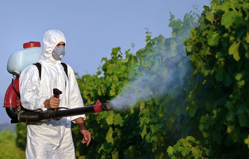 características de los pesticidas