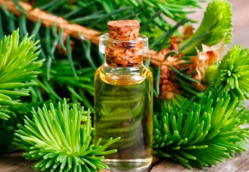 Propiedades y usos del aceite de pino