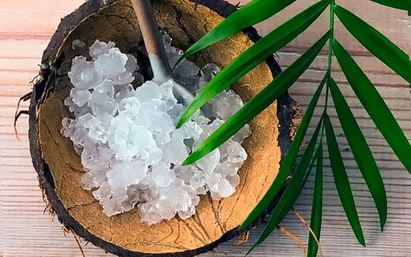 recenze léčivých vlastností hub z mořské rýže
