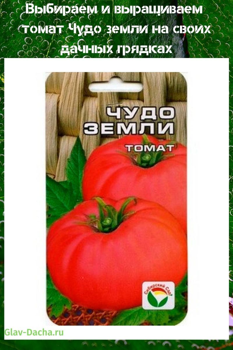 tomatens vidunder på jorden