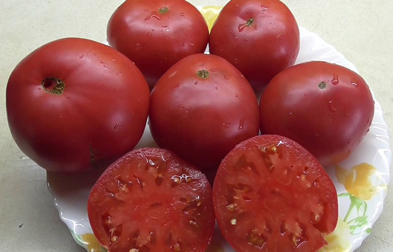 výrez paradajkový zázrak zeme