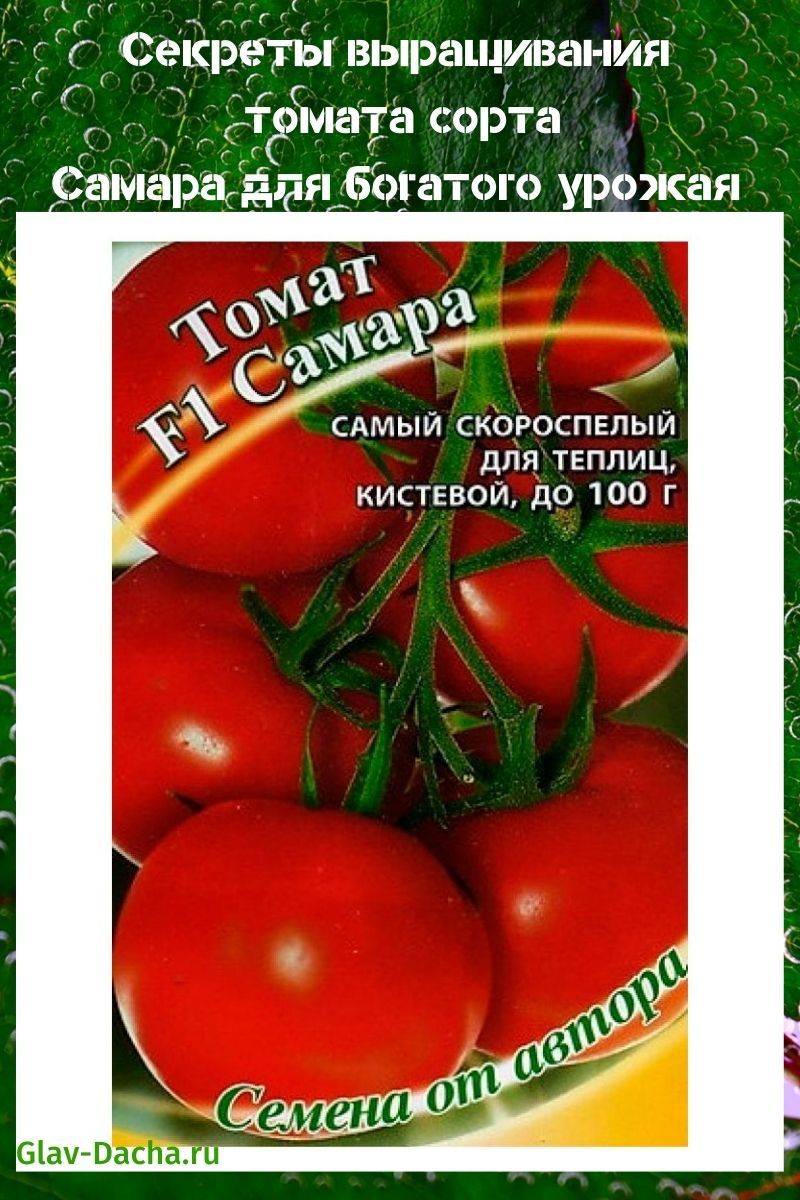 Самарски домат