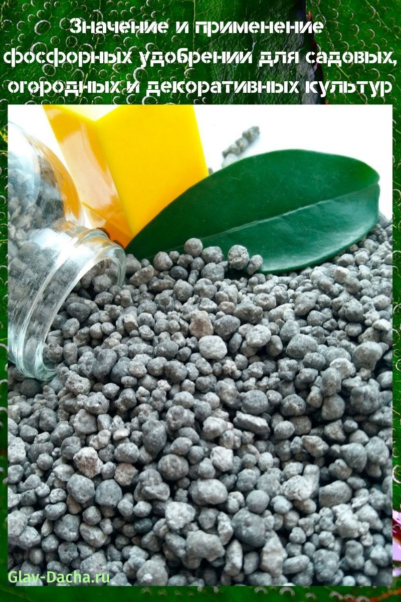 the meaning and use of phosphorus fertilizers
